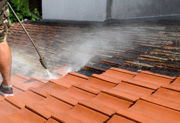 Pressure Washing Brick in San Antonio, FL
