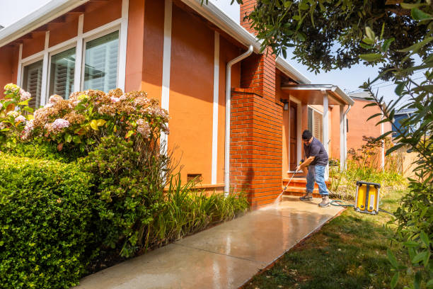 Best Exterior Home Cleaning  in San Antonio, FL